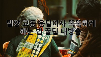 밀양 교동 용달이사🚚 똑똑하게 하는 법! 꿀팁 대방출🍯