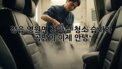 정읍 영원면 지하실 청소: 습기와 곰팡이, 이제 안녕!