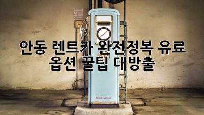 안동 렌트카 완전정복! 유료 옵션 꿀팁 대방출 🚗💨